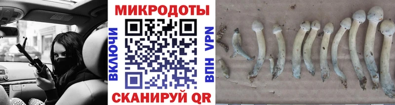 Купить где  Полесск  Псилоцибиновые грибы Psilocybine cubensis 