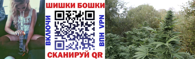 Купить закладки  Полесск  Канабис план 